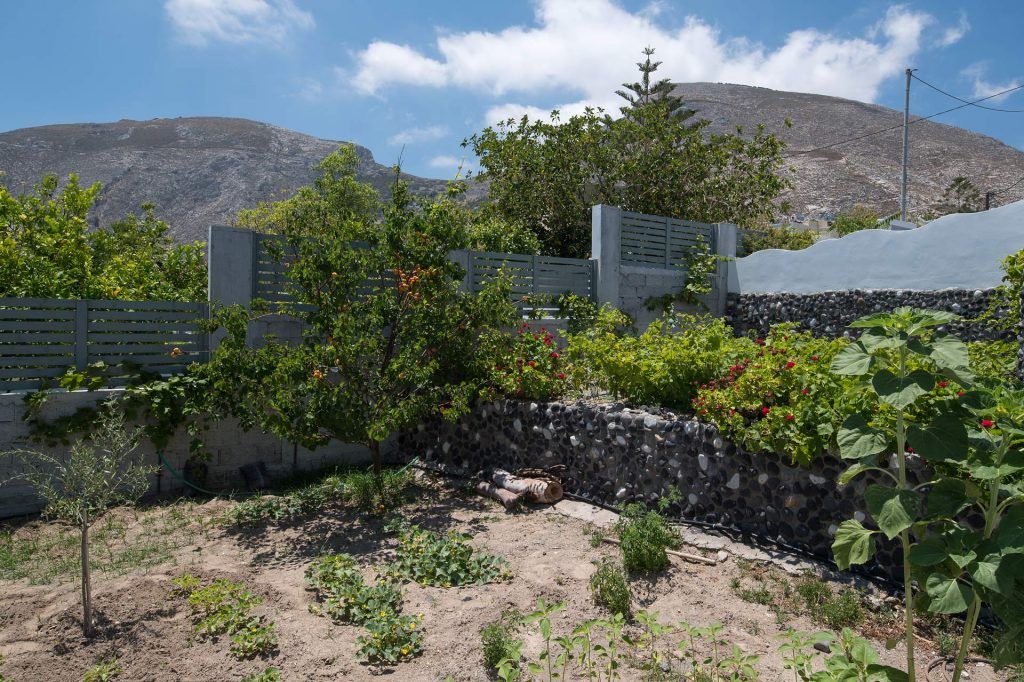 Garden with Mountain View